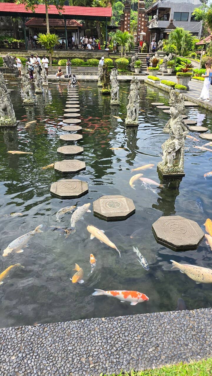 Peaceful Ambiance