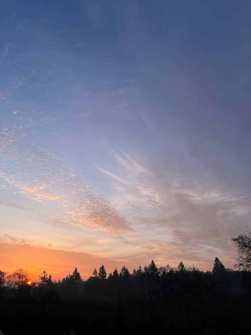 Chalk Grassland Trails