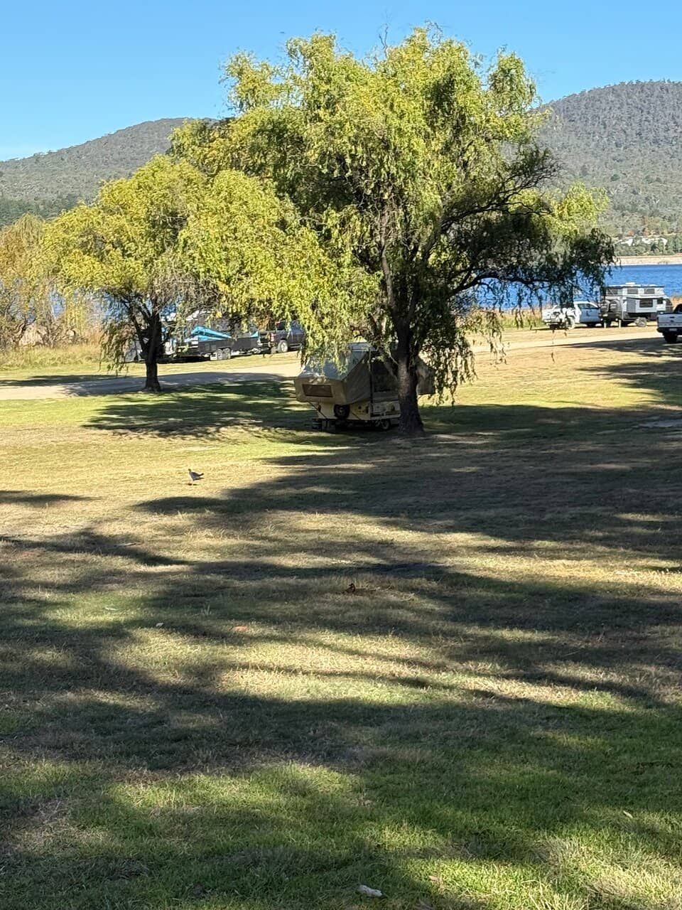 Wildlife Encounters