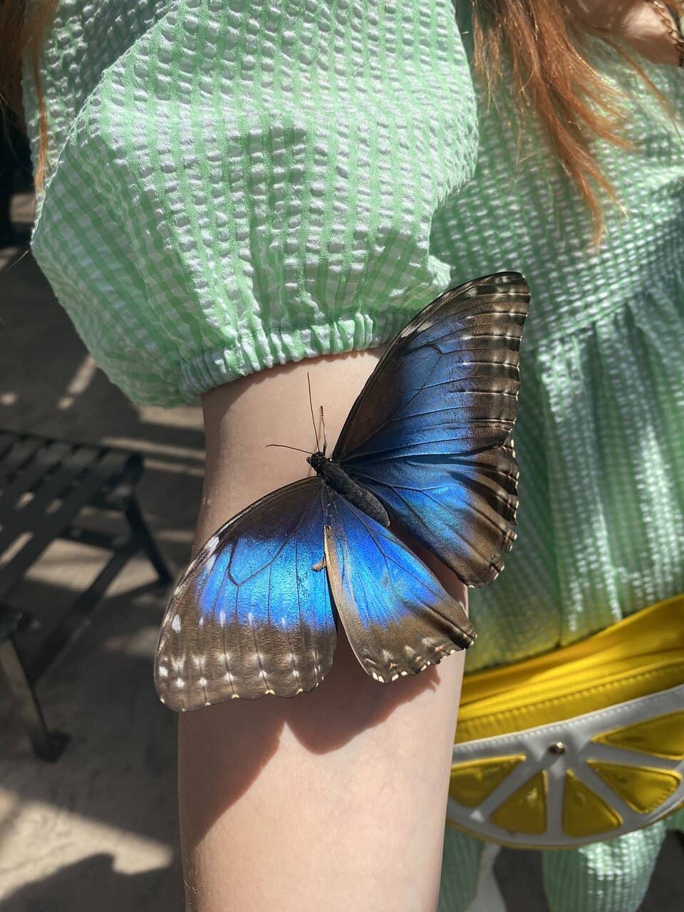 Tropical Paradise Garden