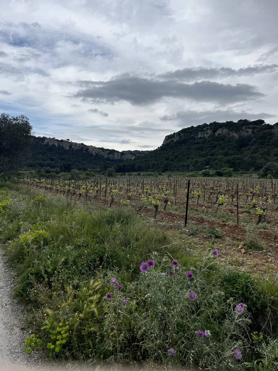 Chapelle Notre Dame des Auzils