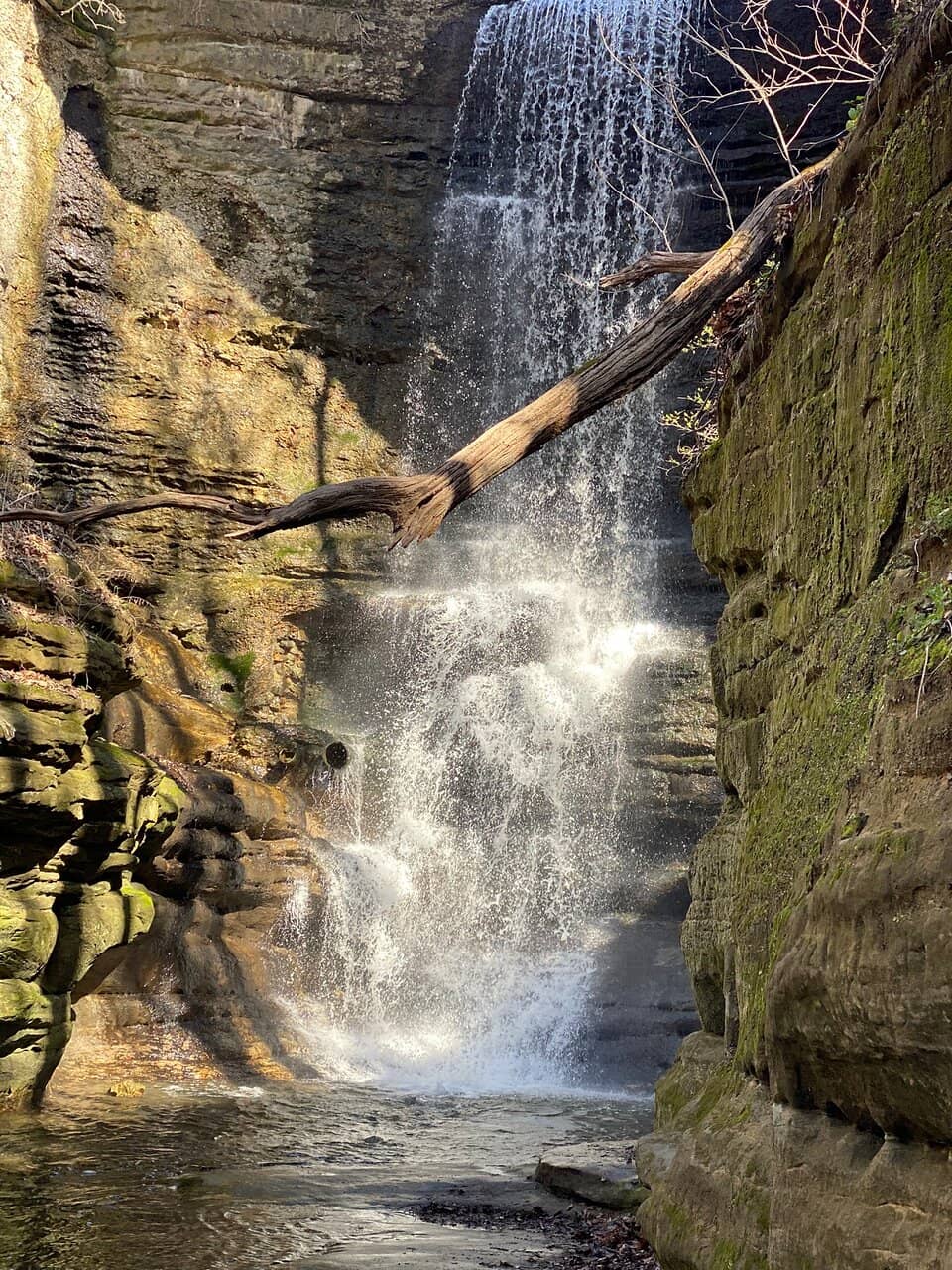 Vertical photo