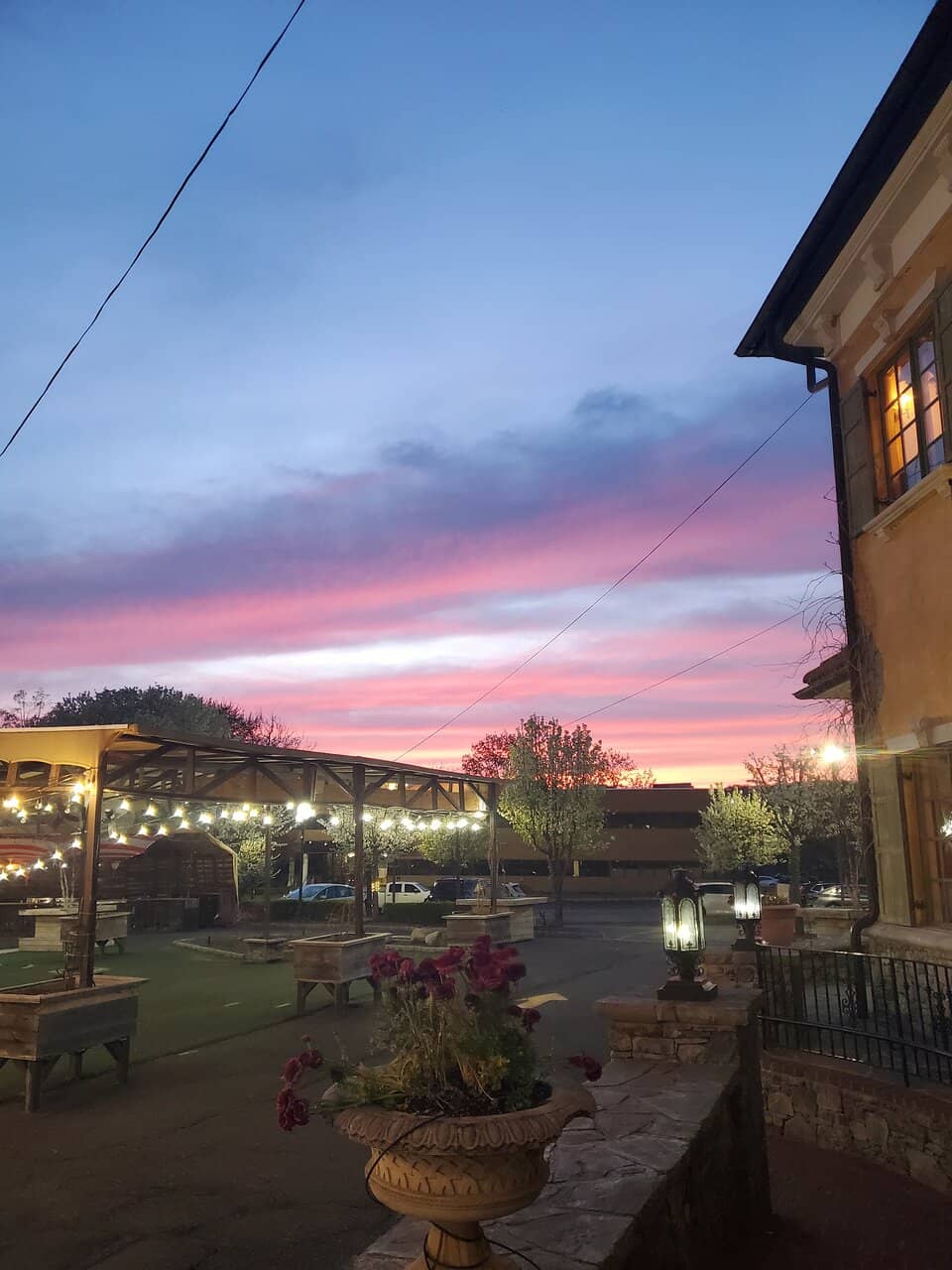 Gourmet Donuts & Baked Goods