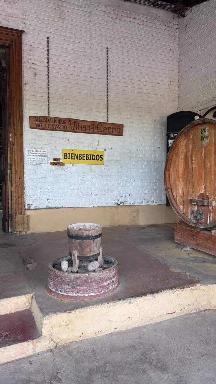 Barrel-Aged Malbec