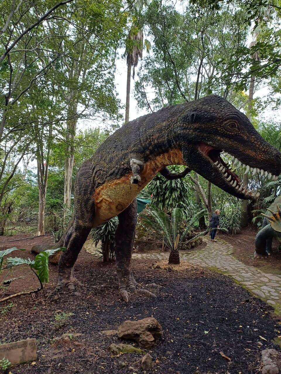 Dinosaur Models