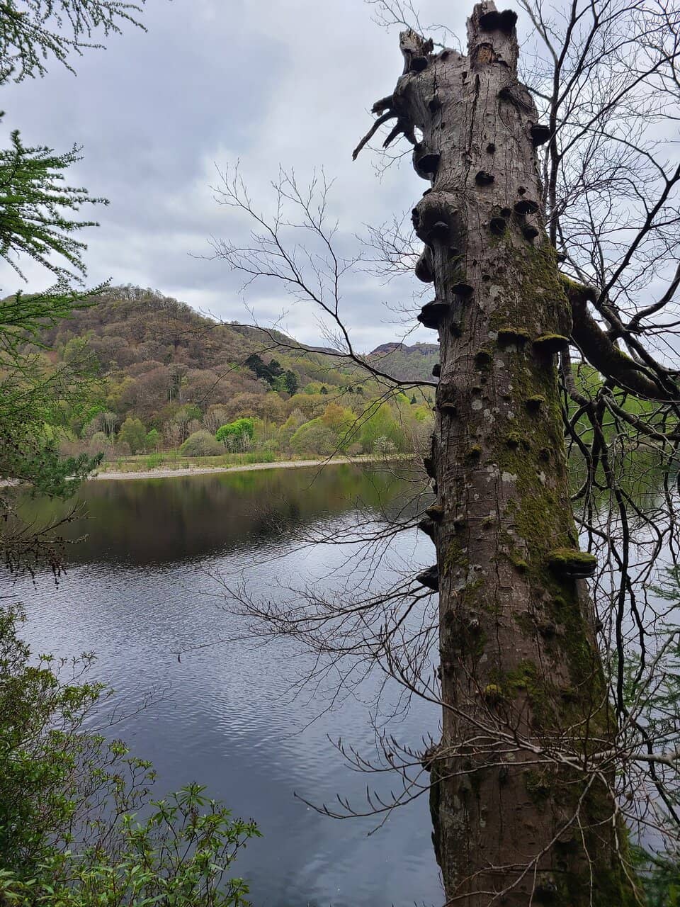 Loch Dunmore Walk