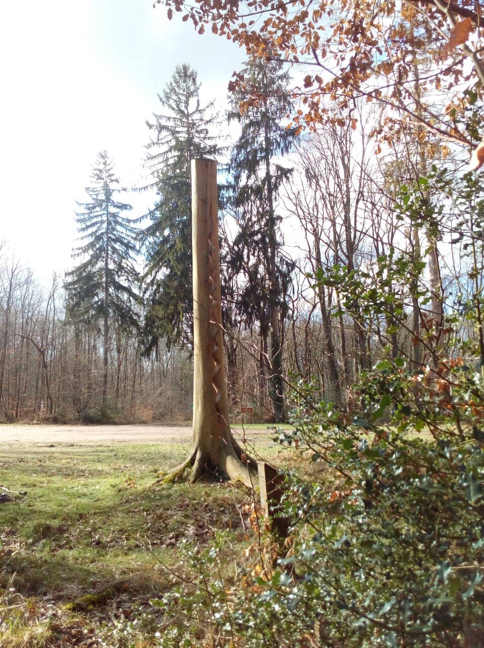 Vertical photo