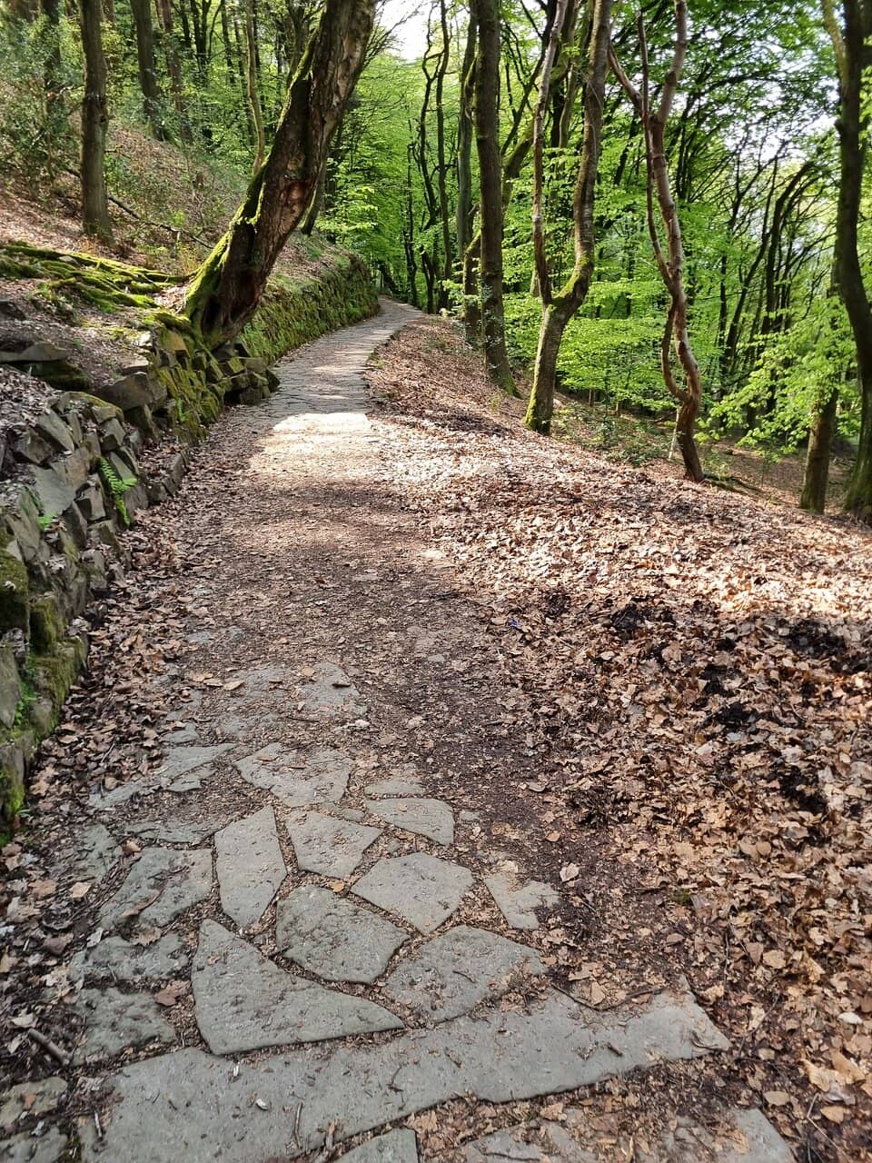 Vertical photo