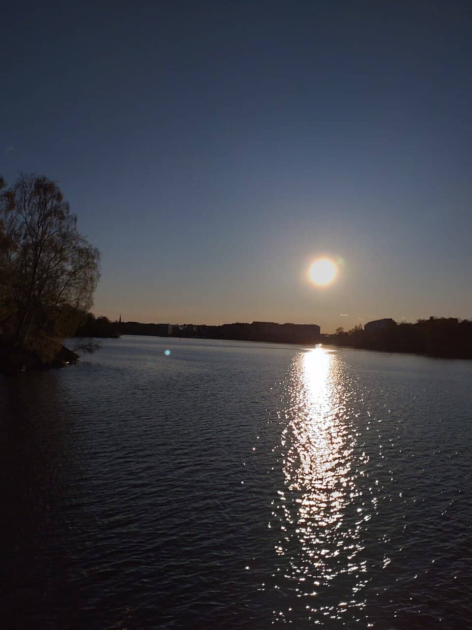 Forested Hiking Trails