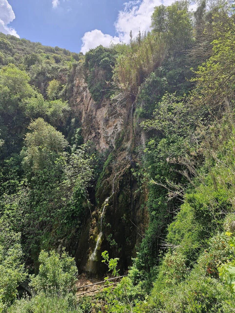 Colorful Spring Pool