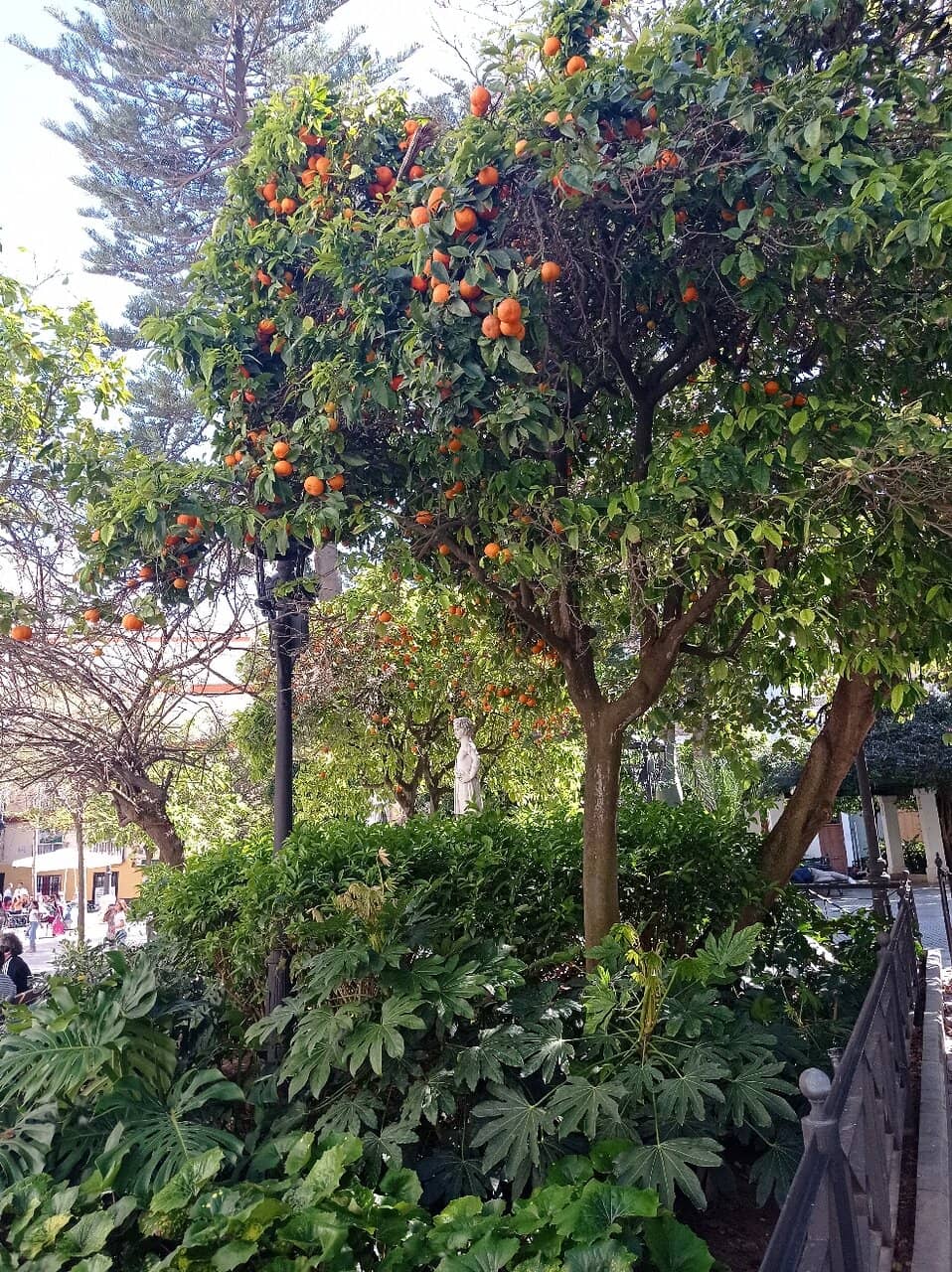 Community Gatherings