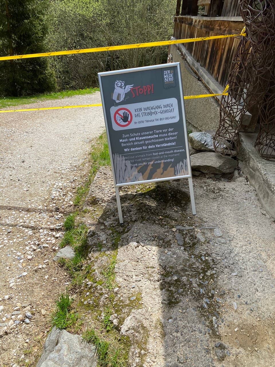 Mountain Coaster Ride