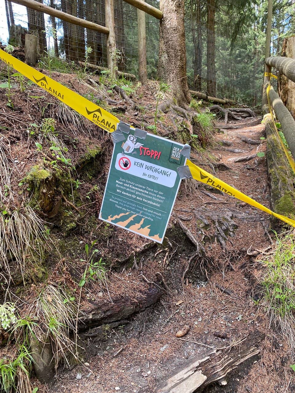 Playgrounds & Bird Show