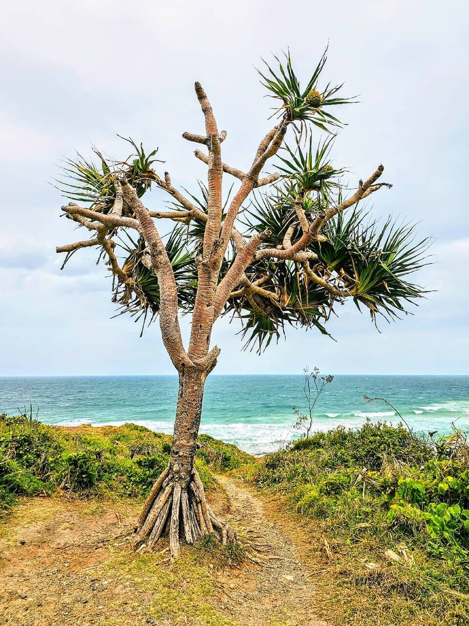 Marine Mural Masterpiece