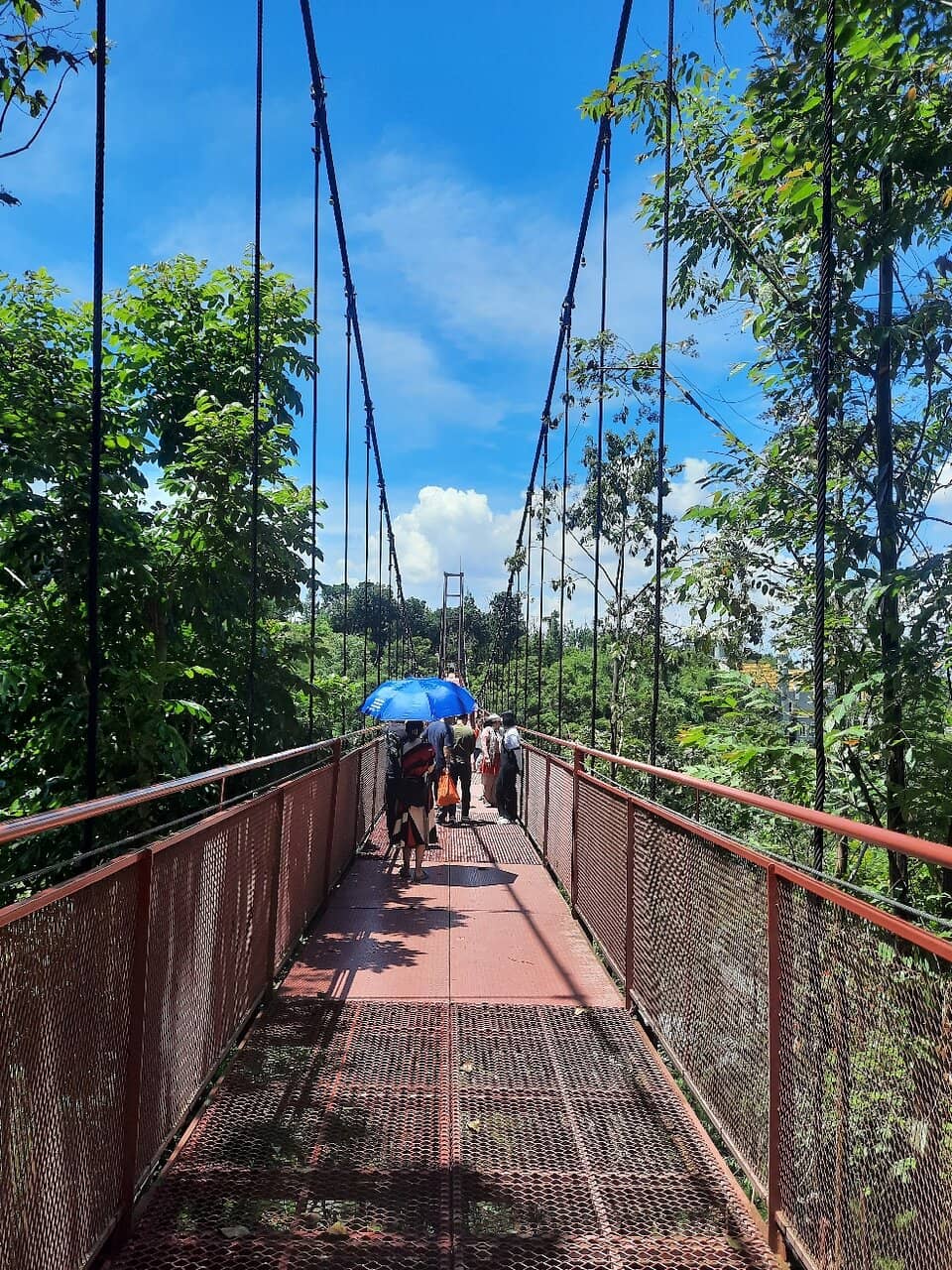 European-Themed Cafes