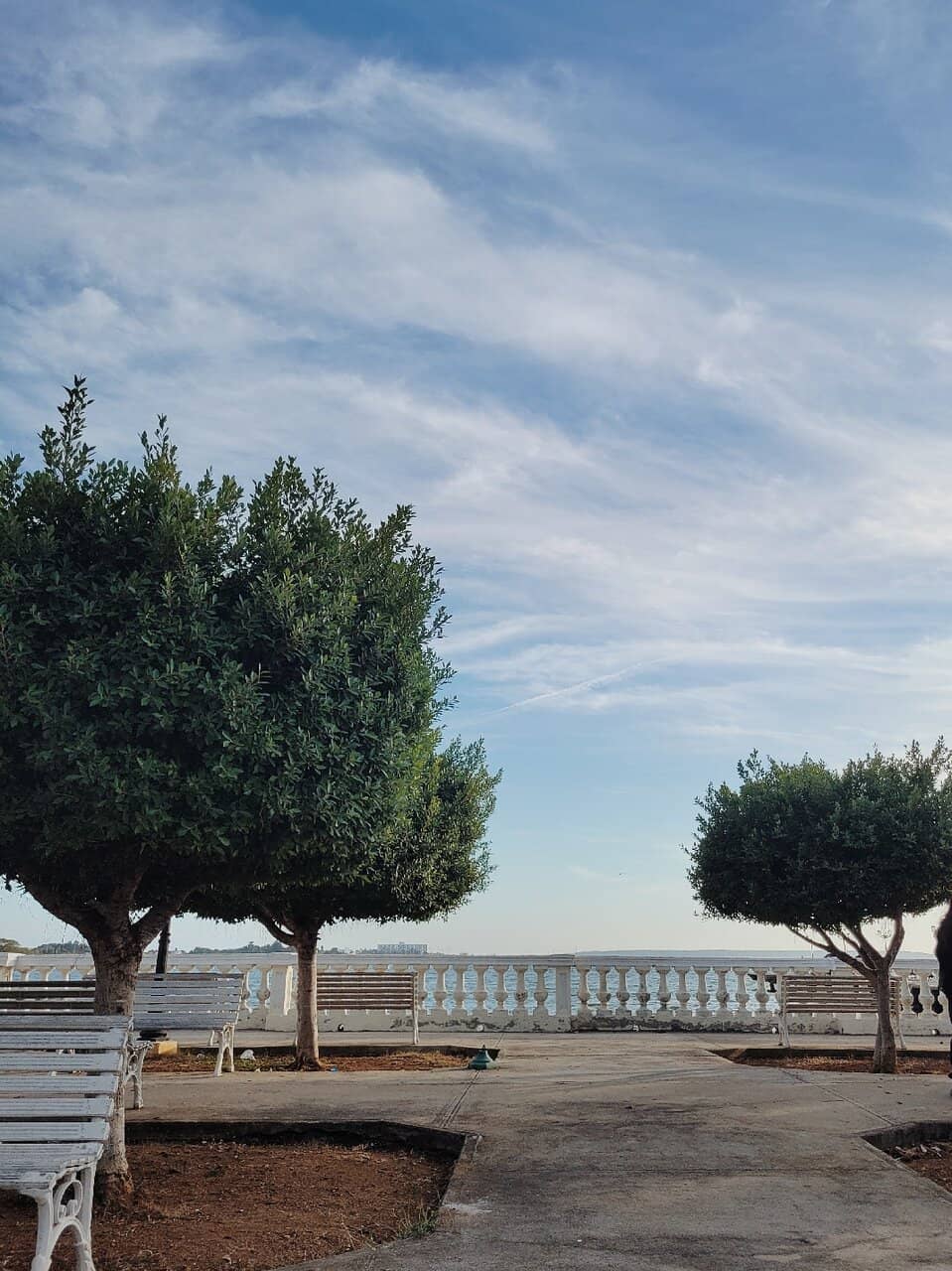 Local Gathering Spot