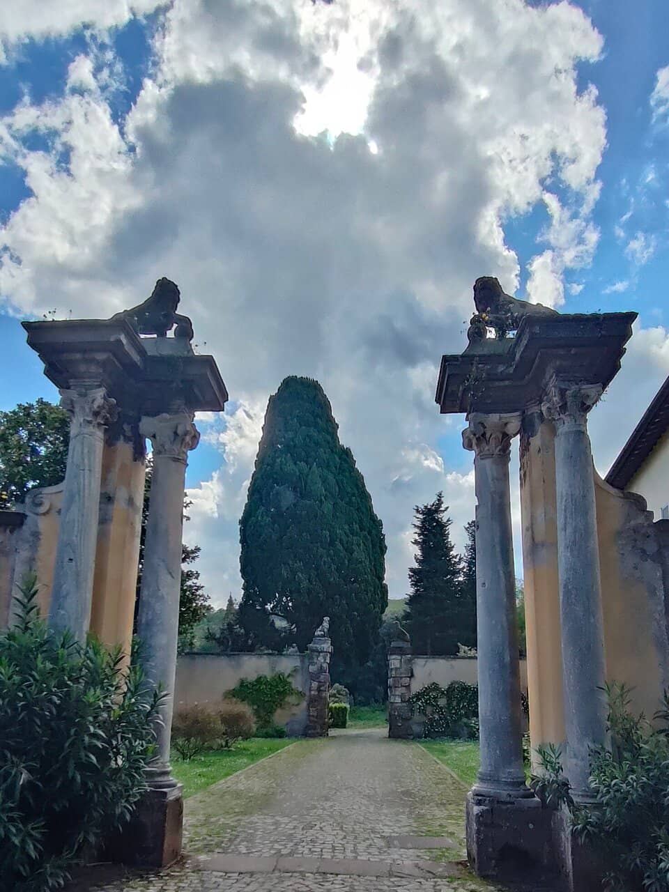 Accademia Vivarium Novum