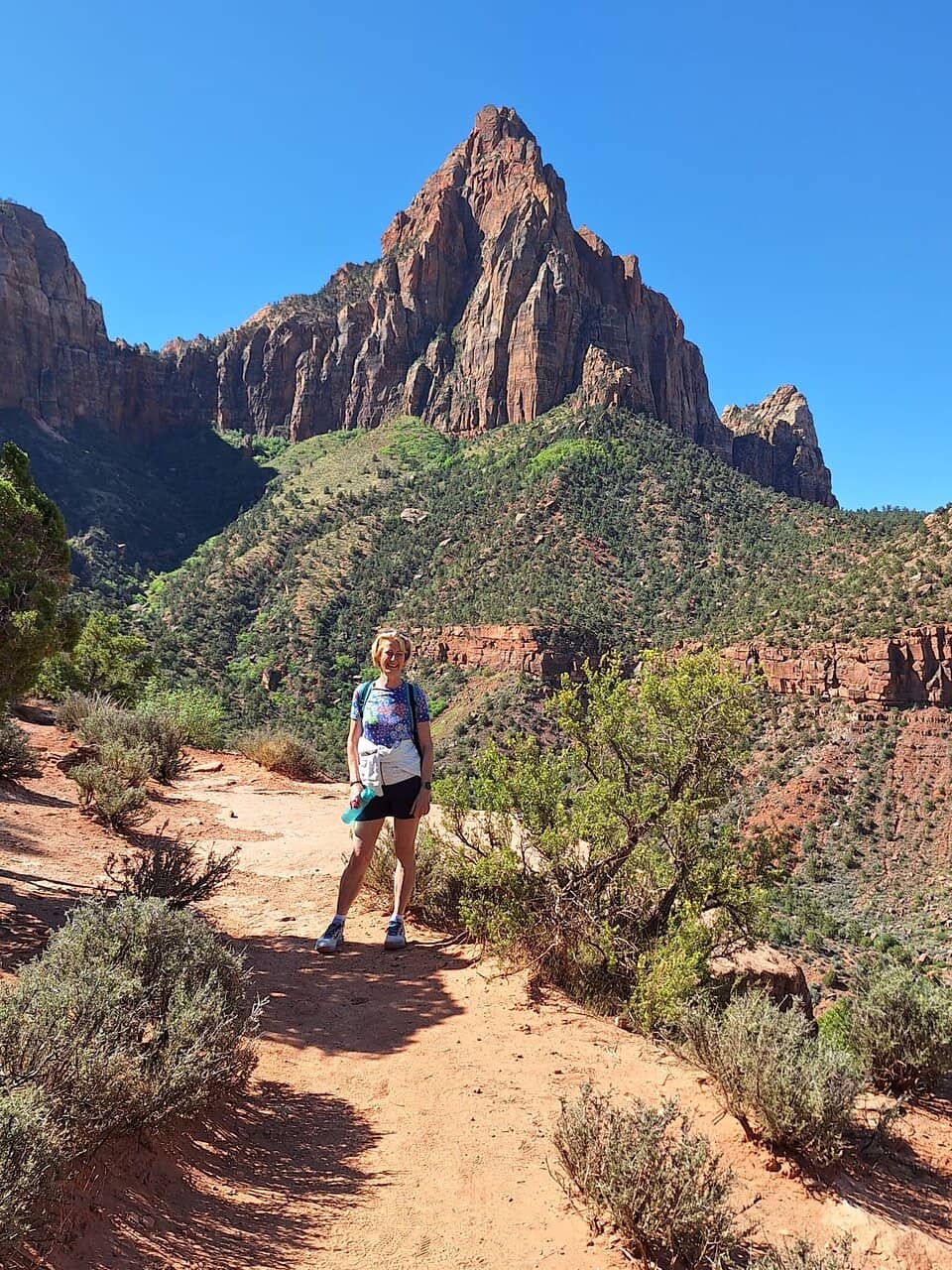 Springdale Town Vista