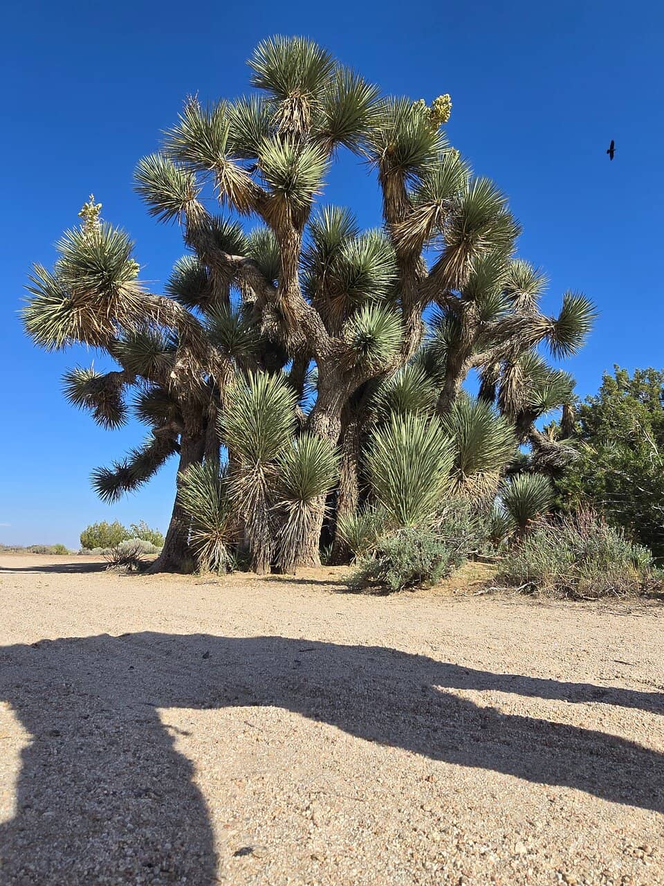 Peaceful Picnic Spots