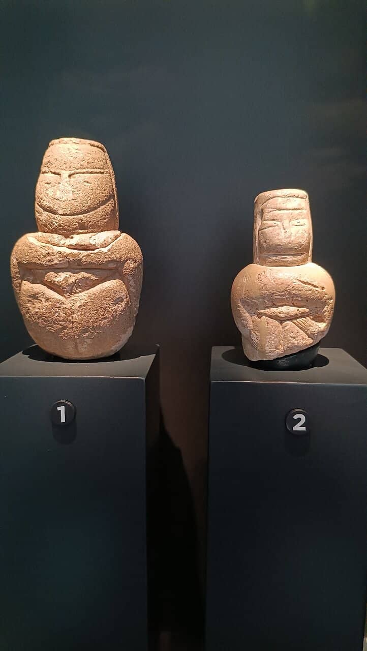 Special Exhibitions