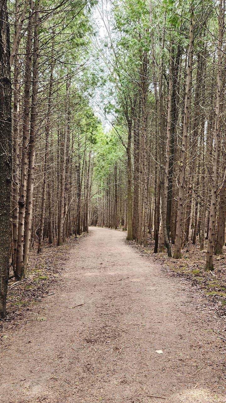 Reservoir Activities