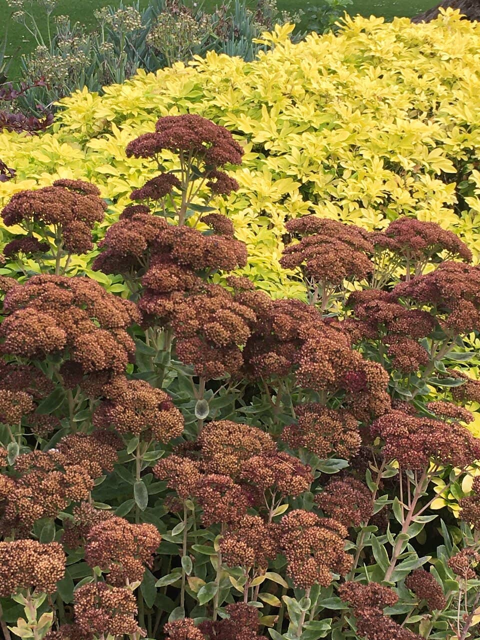 The Nature Play Area
