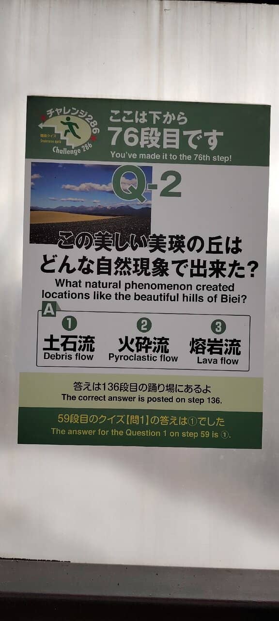 Scenic Overlook Bridge