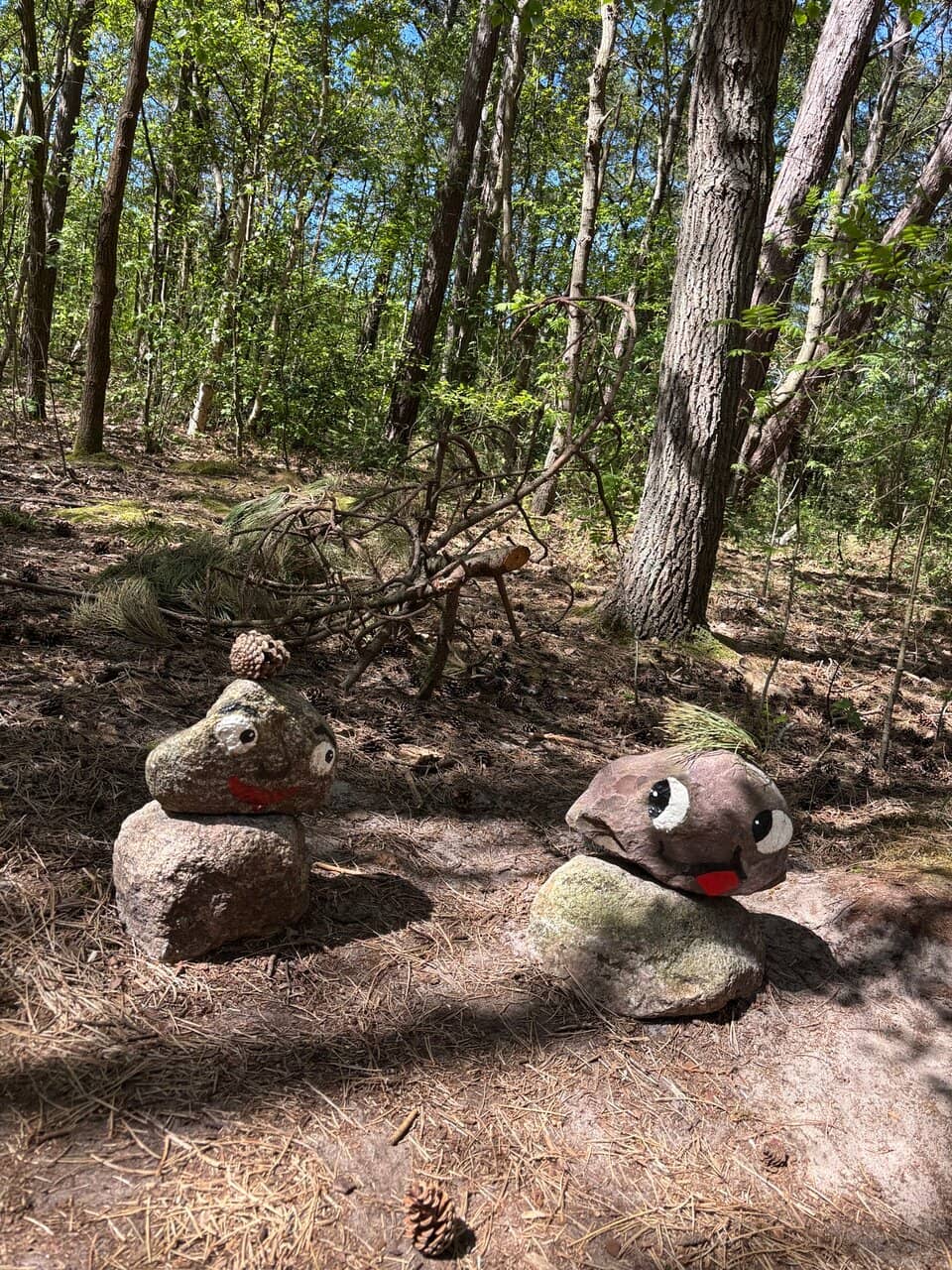 The Enchanted Forest