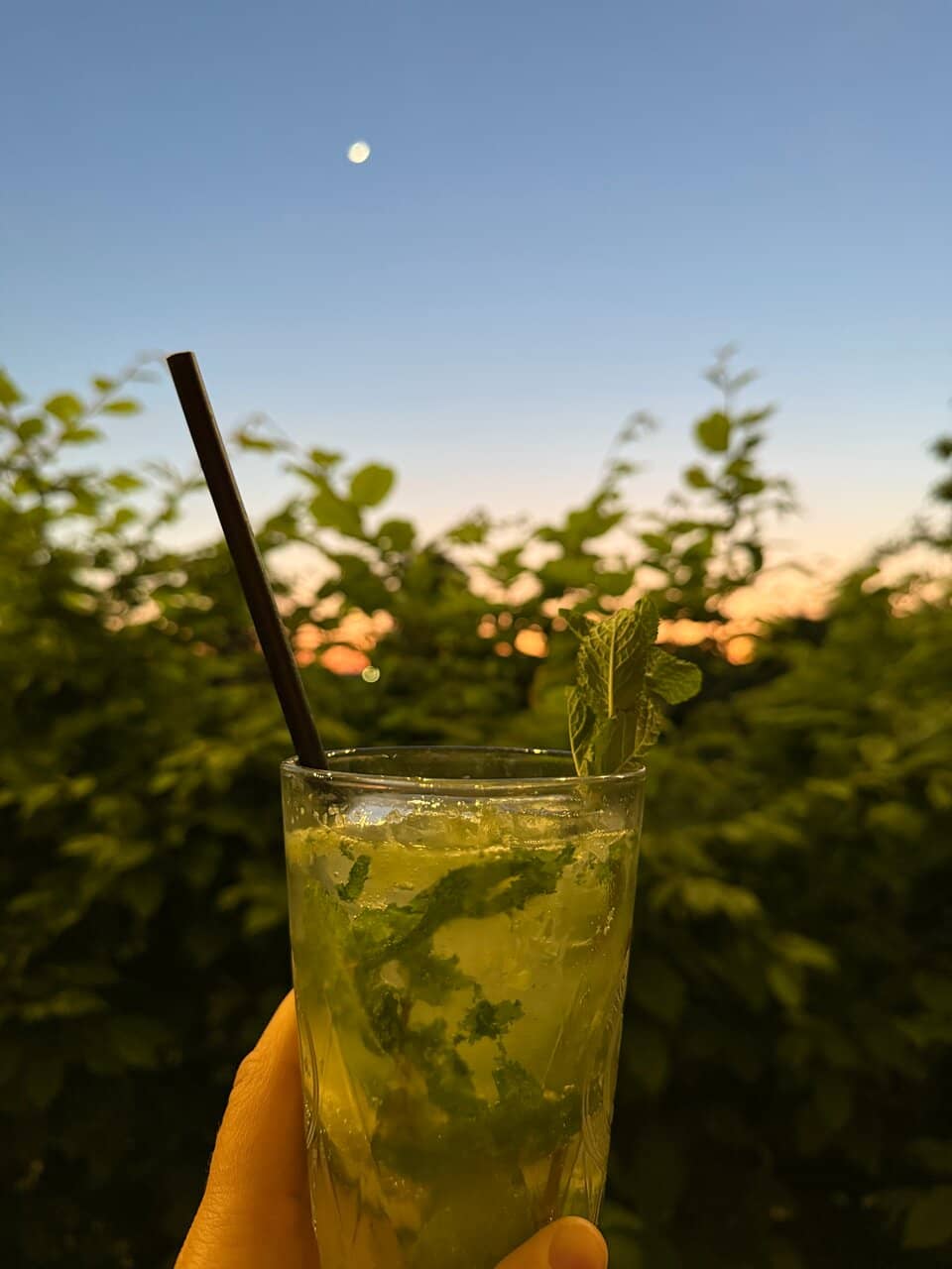 Lively Summer Beer Garden