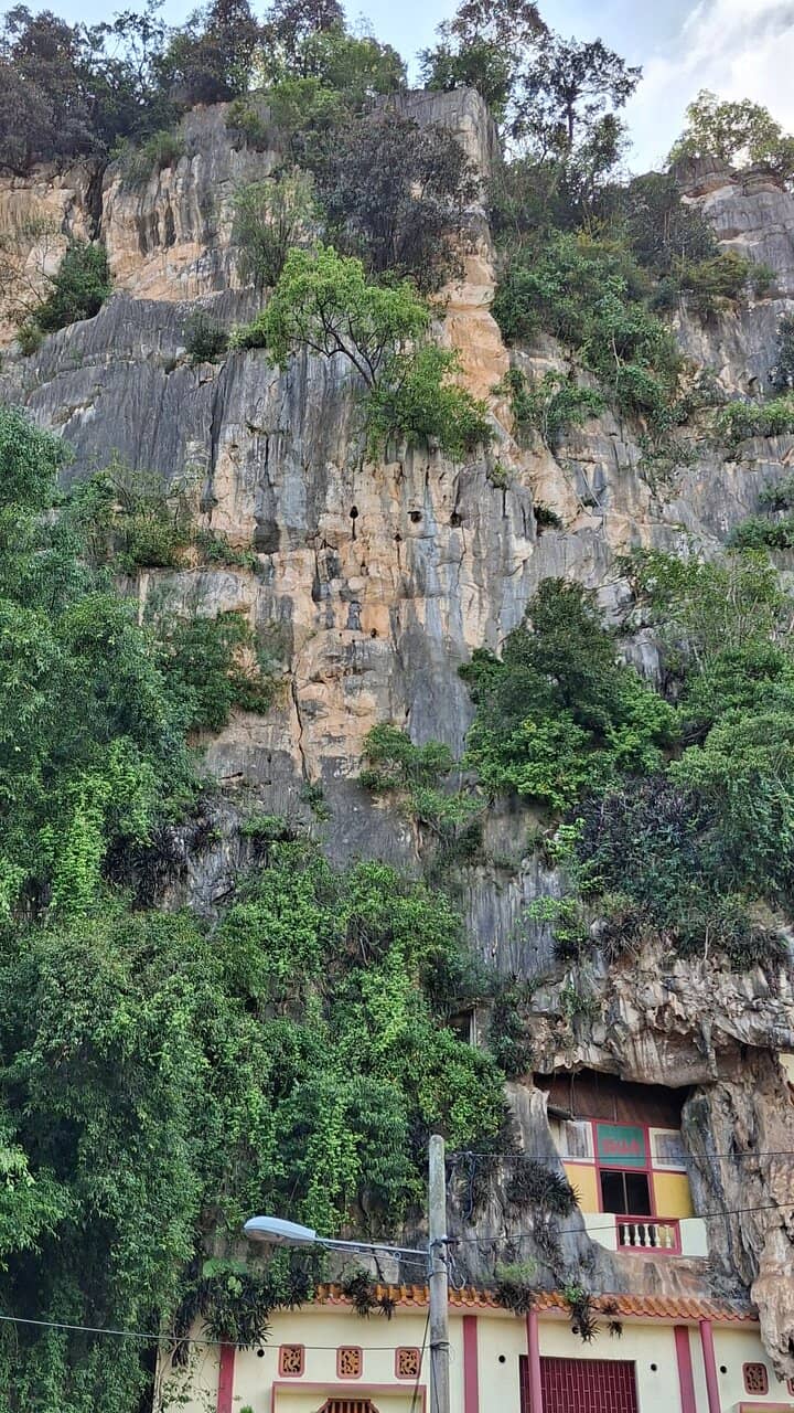 Vertical photo