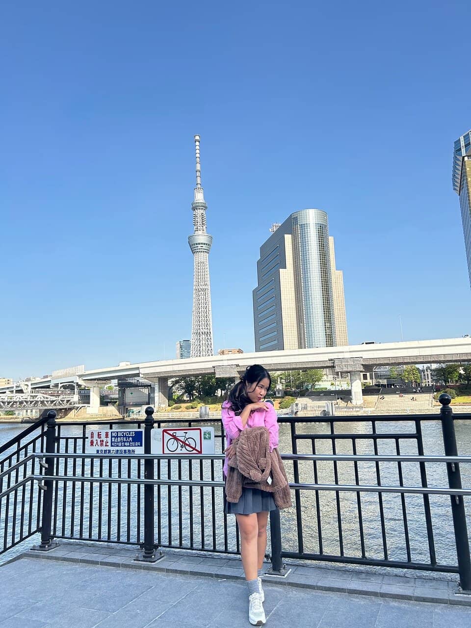 Giant Forklifts & Top Lifters