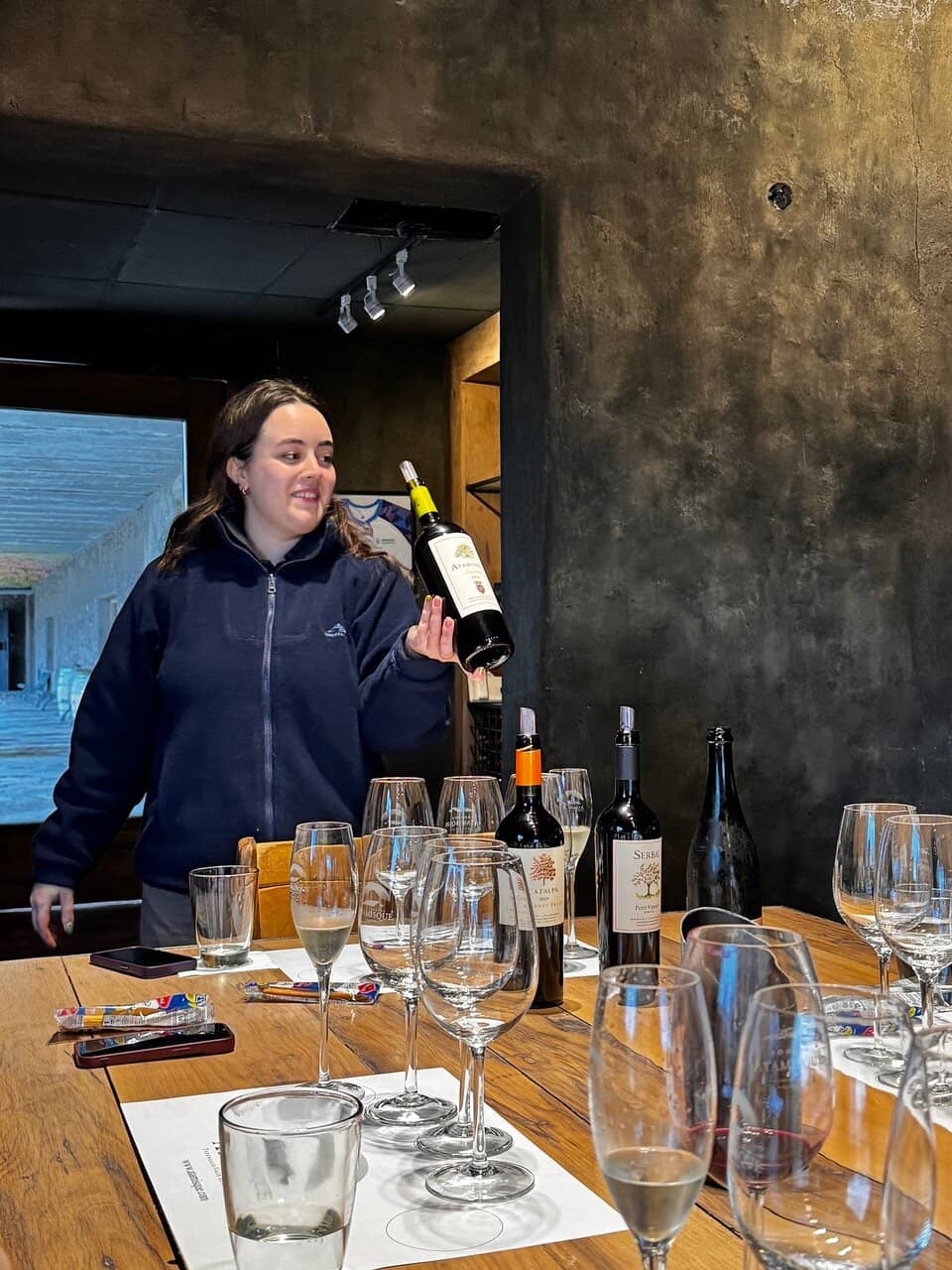 Wine Tasting Experience