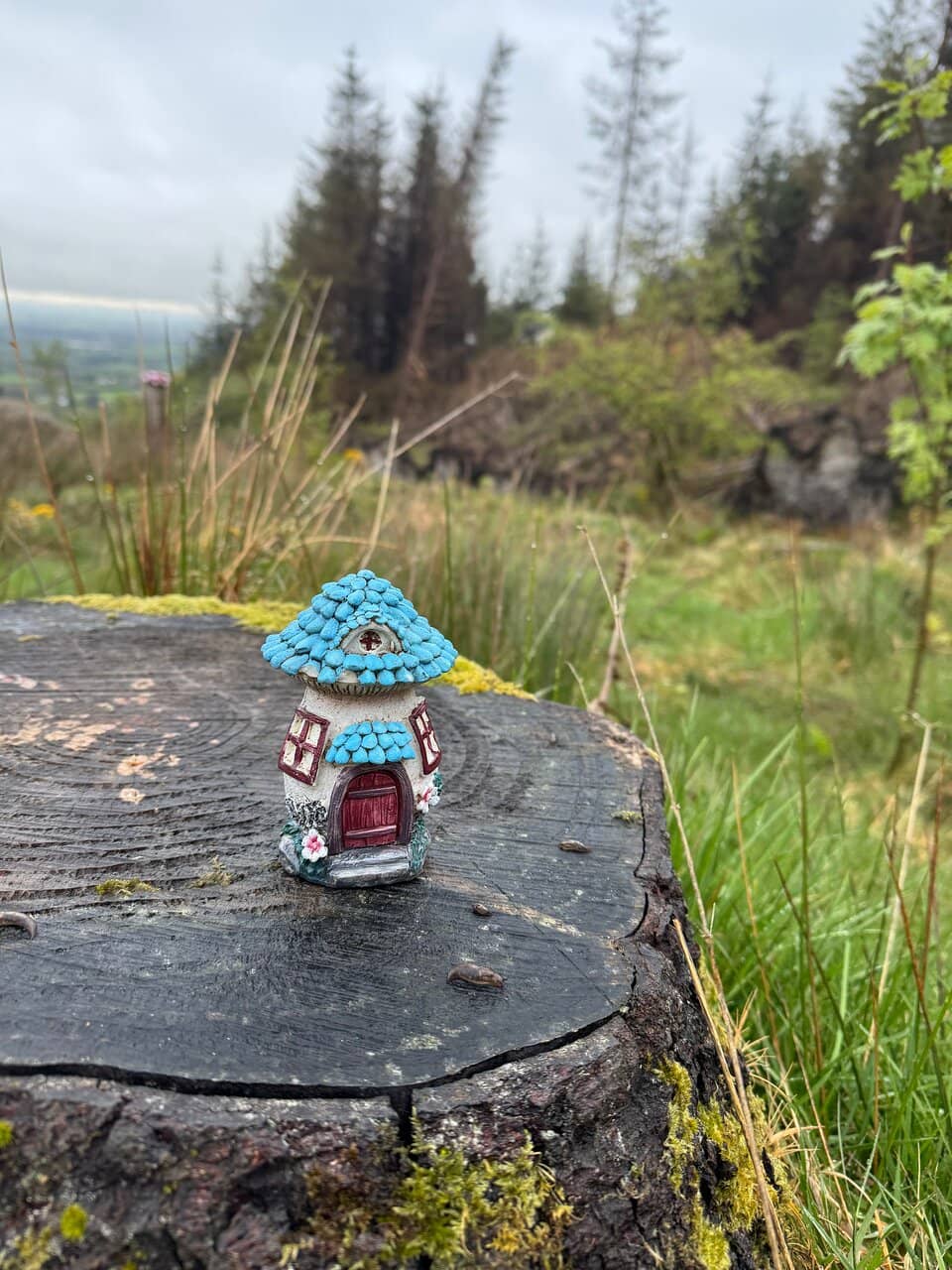 The Sundial & Compass