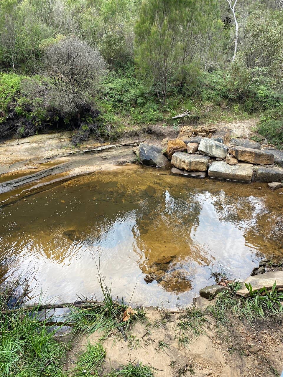 Boardwalks and Bridges