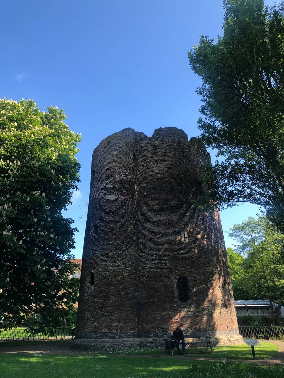 Picnic & Relaxation Spot