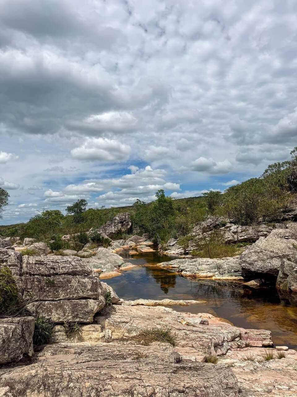Natural Swimming Pools