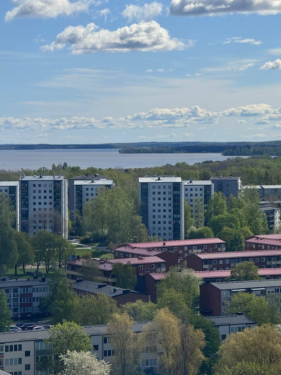 Swedish Buffet Experience