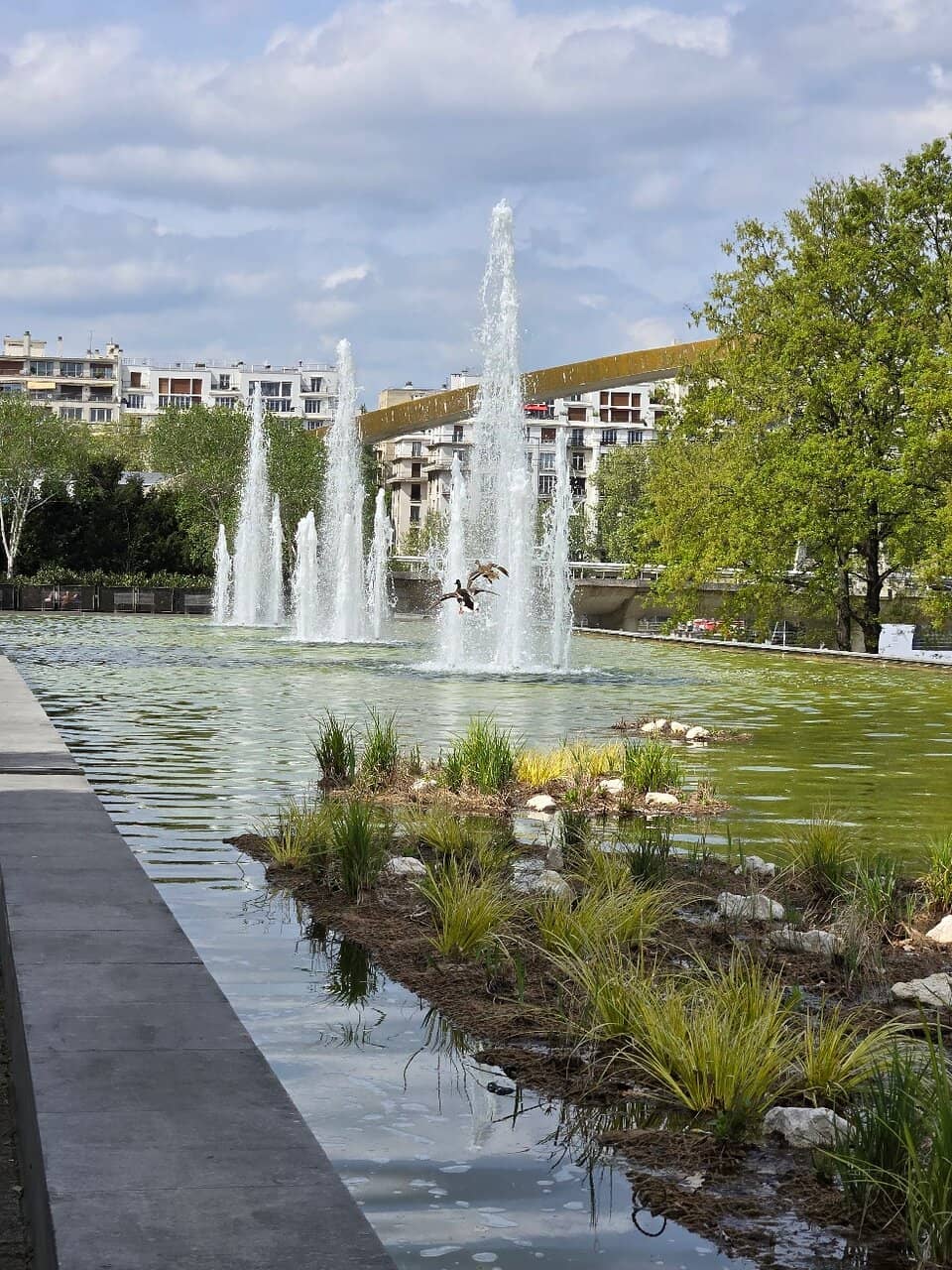 Serre de l'Orangerie