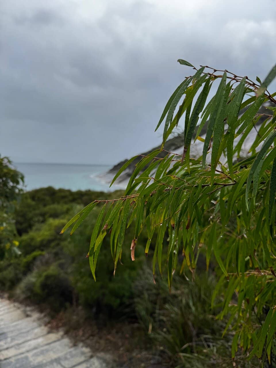 Pristine White Sands