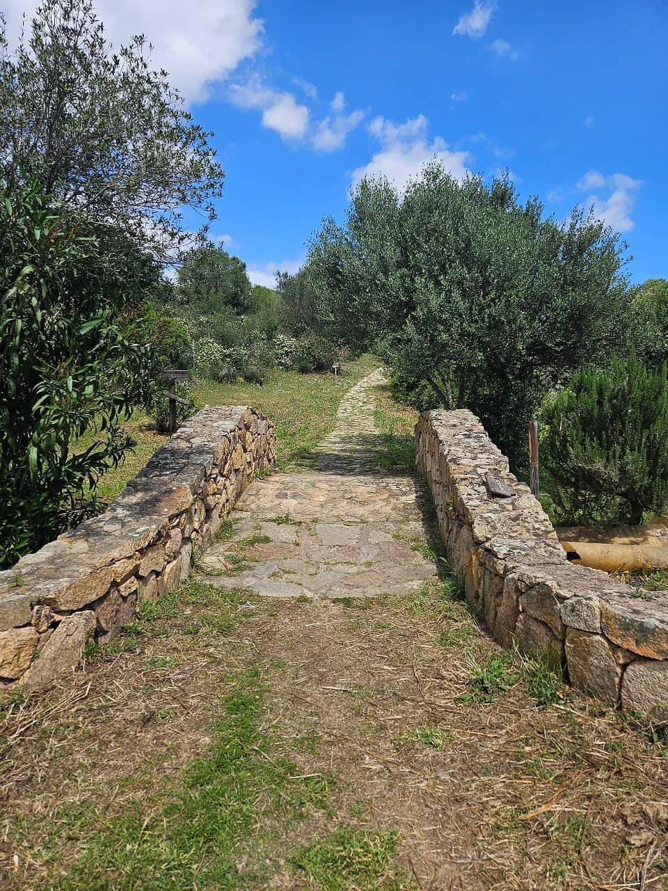 The Sacred Well