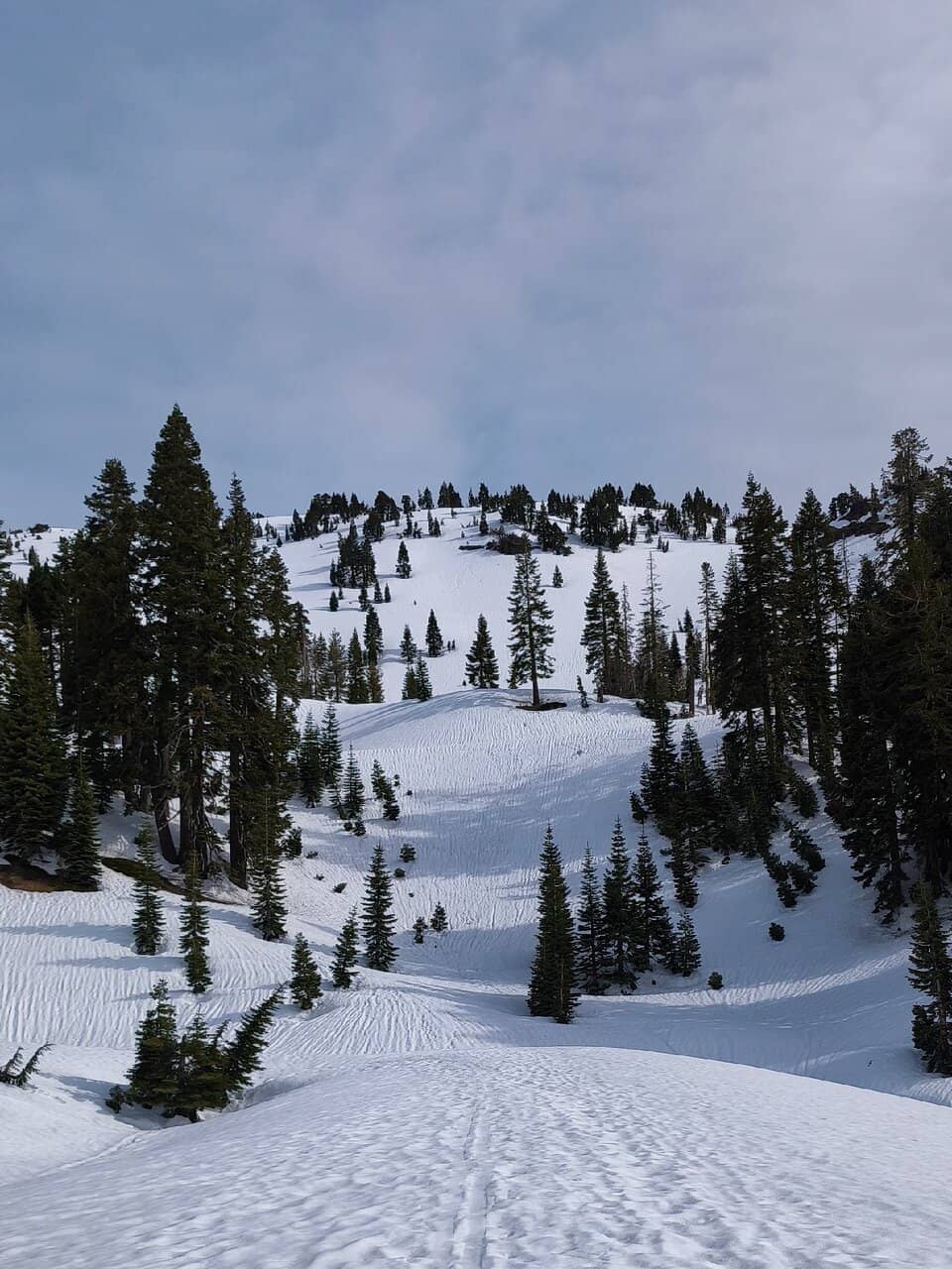 Cinder Cone Trail