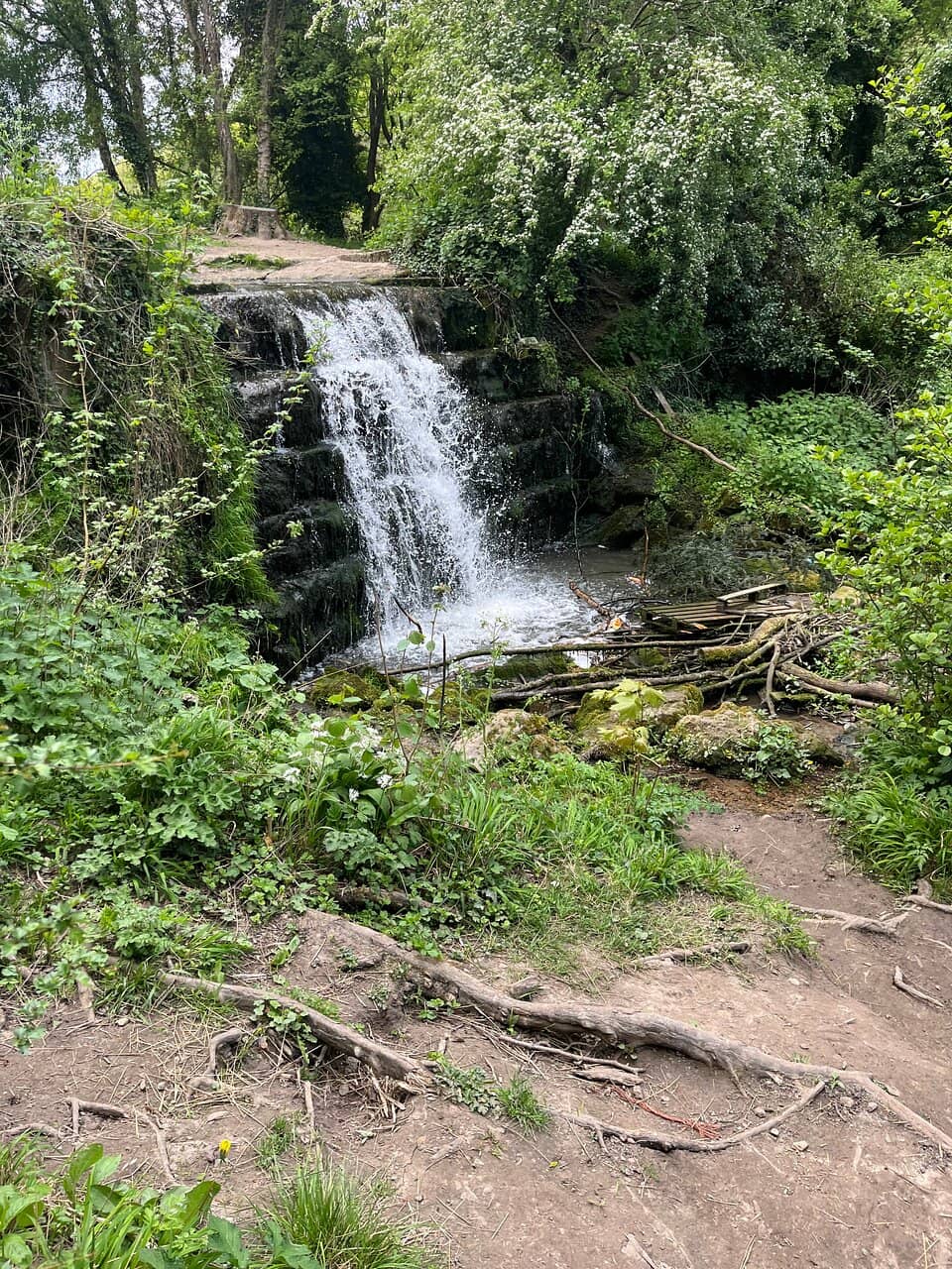 The Flowing Stream