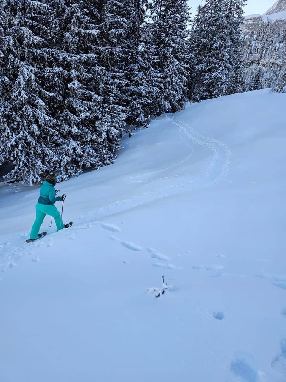 Pilatus PC-21 Turboprop Trainer