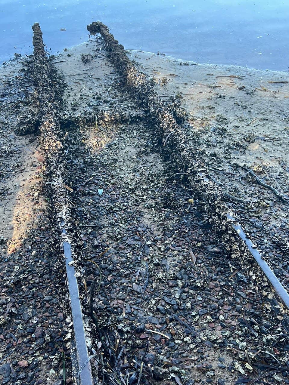 Scenic Lake & Mangrove Walk