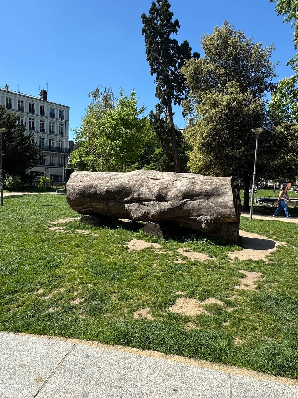 Shady Trees & Seating