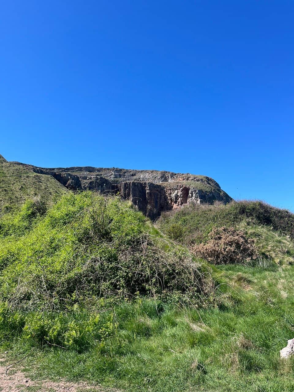 Coastal Walking Paths