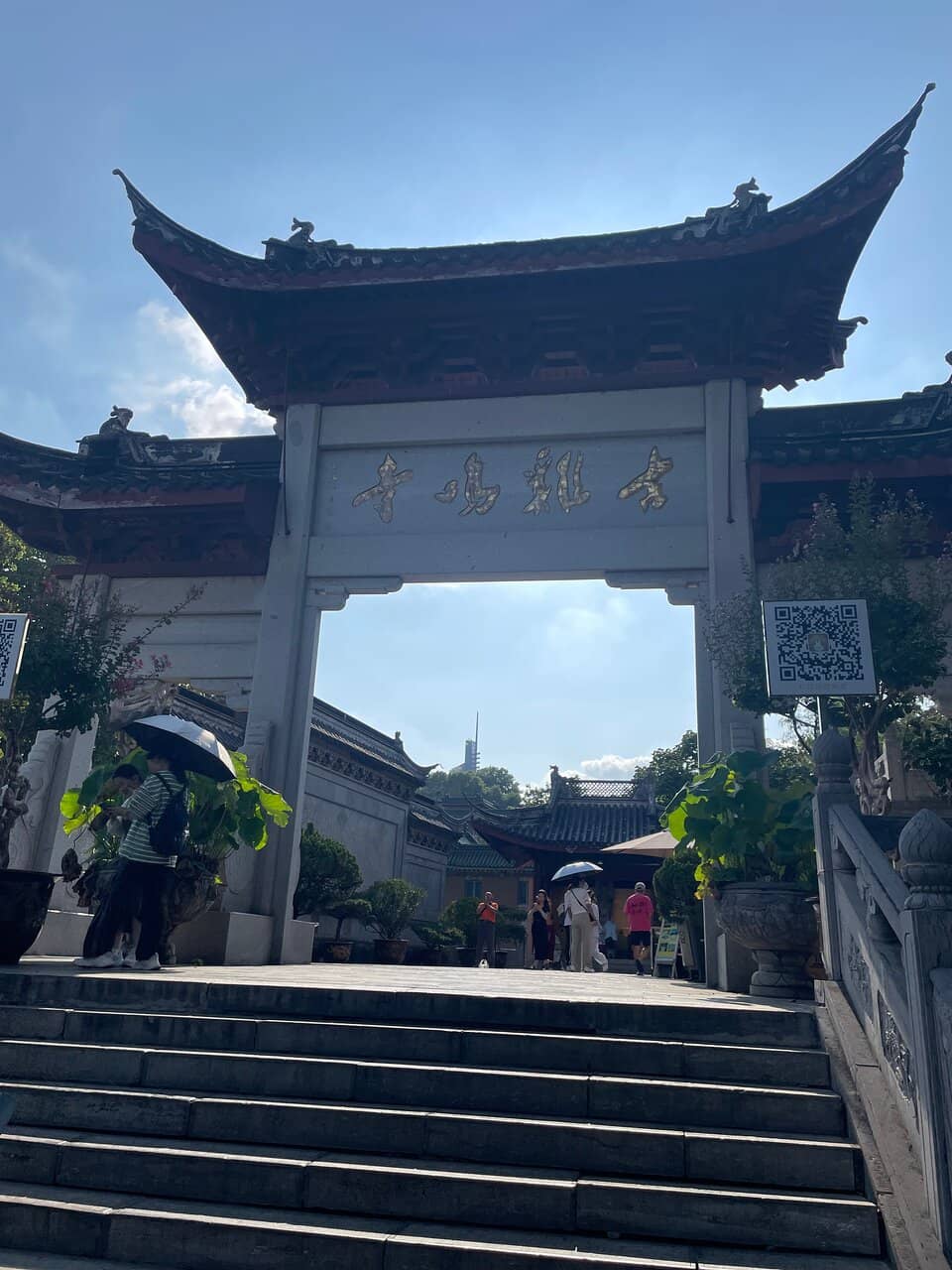 Cherry Blossom Spectacle