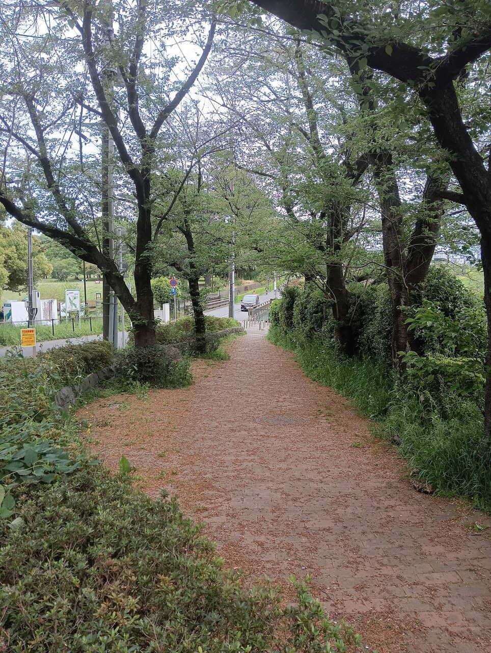Picnic & BBQ Areas