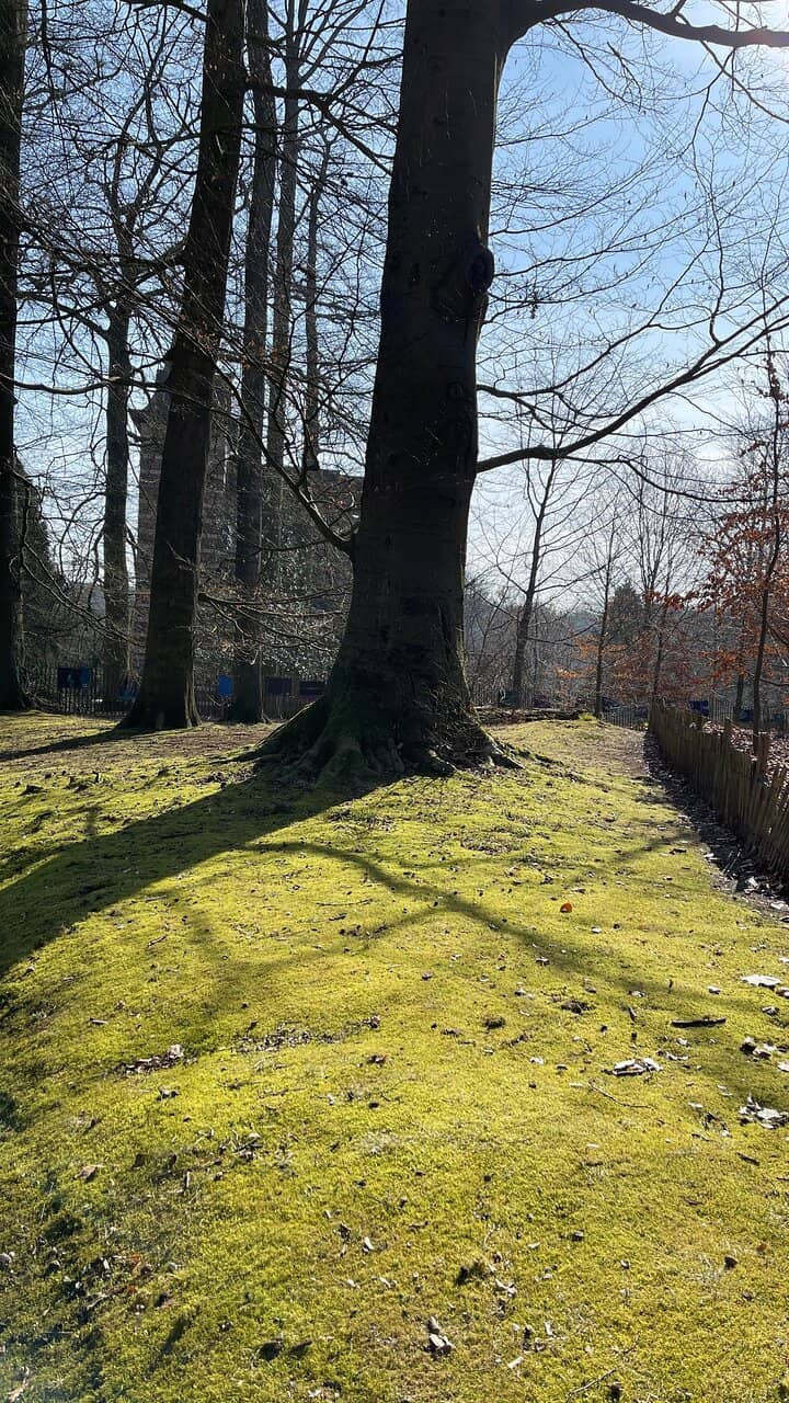Vertical photo