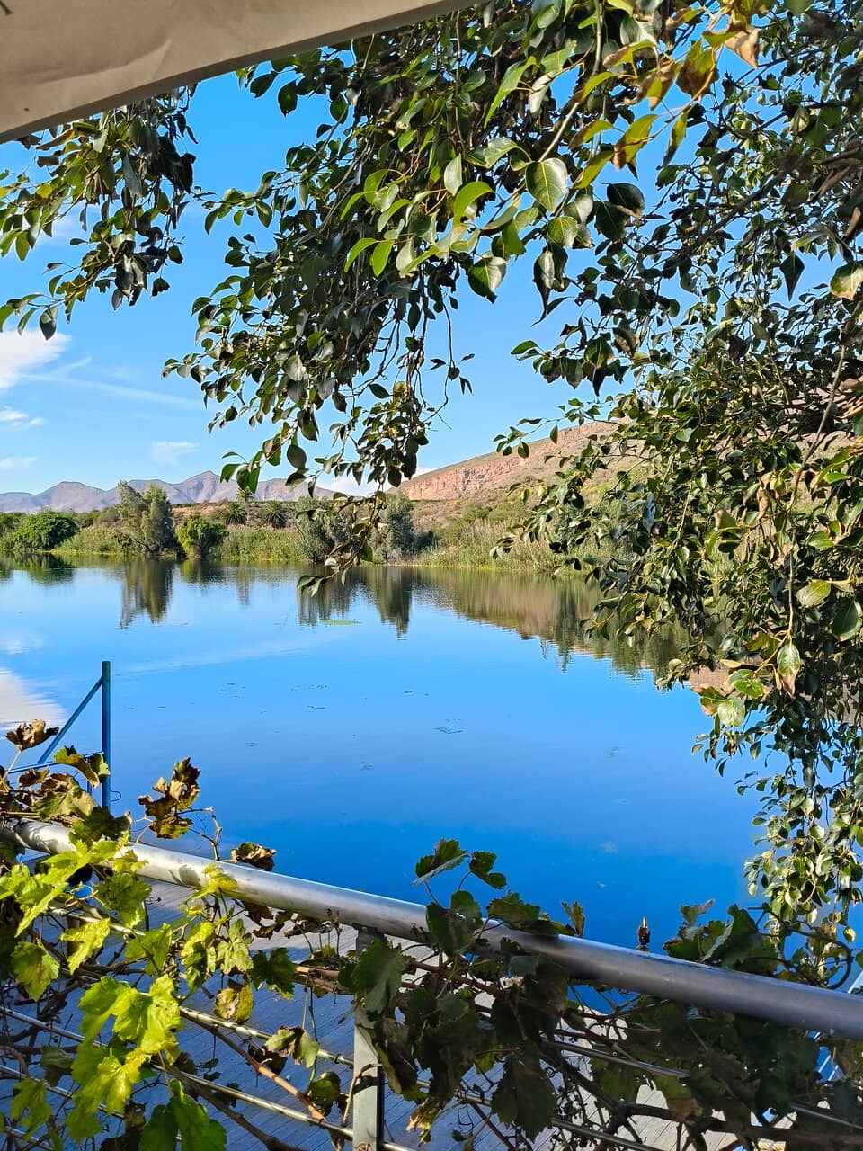 Deli & Picnic Options